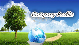 Company Profile